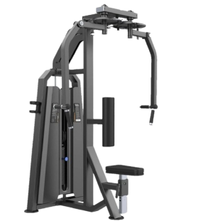 Voador_Crucifixo_-_Reptor.png
