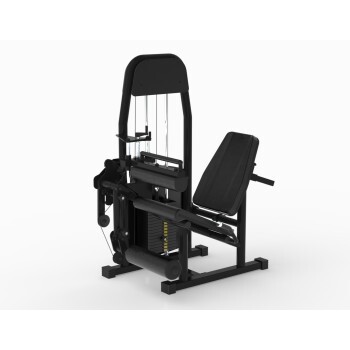 Ext. / Flex. Sentada Conjugada (80 KG) - Select