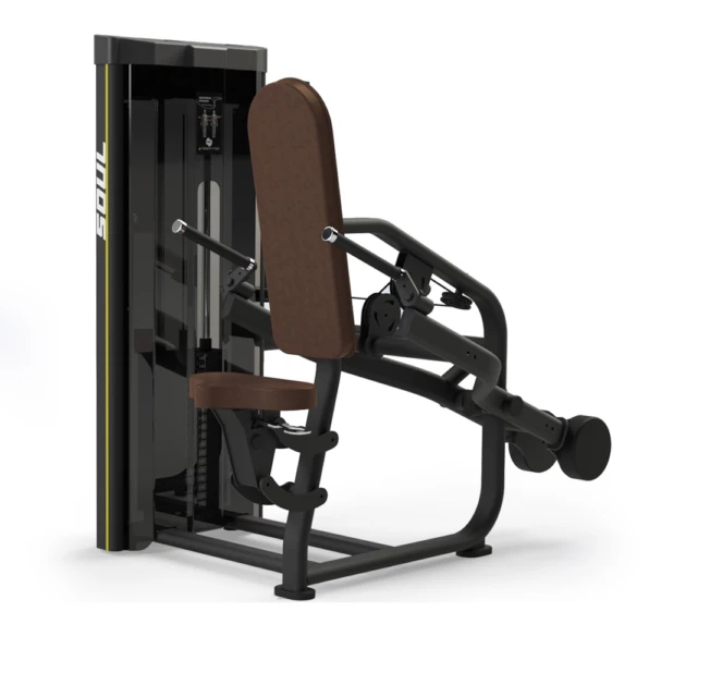 Tríceps pressão SL 2049
