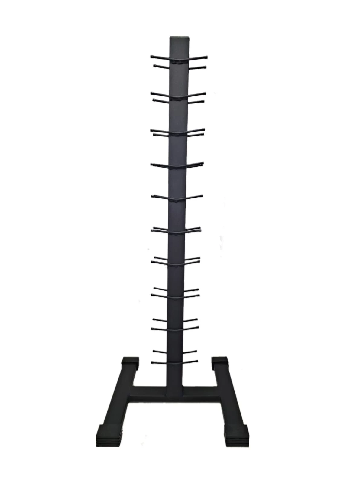 Suporte de Halteres 10 posições