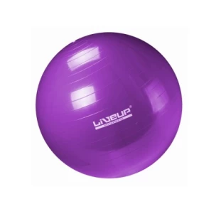Bola_Suica_55cm.png