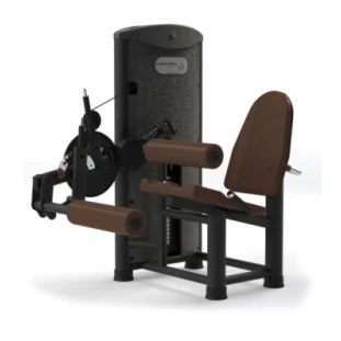 CADEIRA_FLEXO_EXTENSORA_MX_1015_PLUS.png