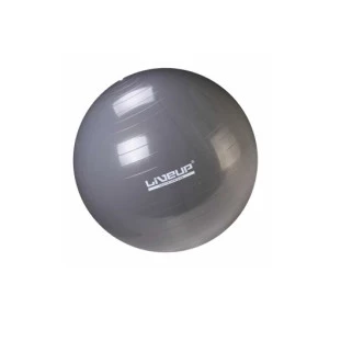 Bola_Suica_85cm_cinza.jpg