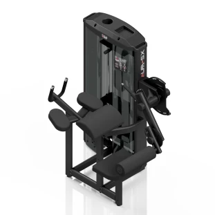 SX1055_-_Gluteo.png