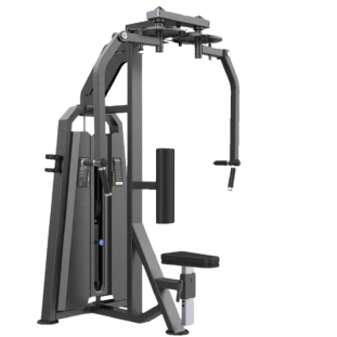 Voador_Crucifixo_-_Reptor.png
