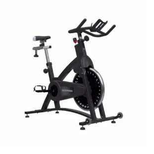 Schwinn_IC_Classic.png