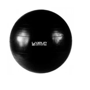 Bola Suíça Premium 65Cm Preta