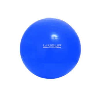 Bola_Suica_65cm.png