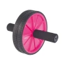 Roda_de_Exercicios_Rosa.png